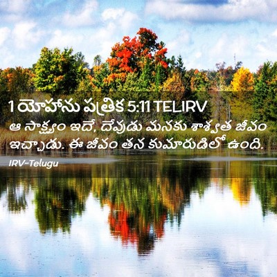 Picture 02 - 1 యోహాను పత్రిక 5:11 TELIRV - ఆ సాక్ష్యం ఇదే, - Bible Verse Picture