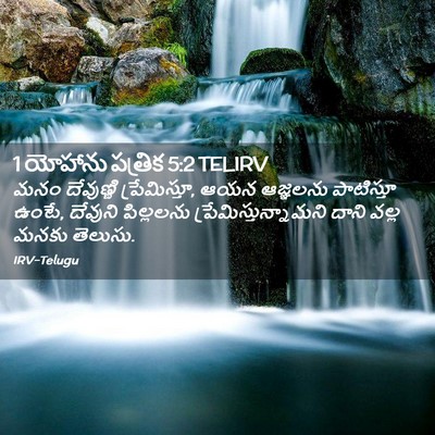 Picture 02 - 1 యోహాను పత్రిక 5:2 TELIRV - మనం దేవుణ్ణి - Bible Verse Picture