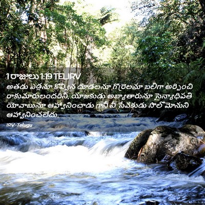 Picture 02 - 1 రాజులు 1:19 TELIRV - అతడు ఎడ్లనూ - Bible Verse Picture