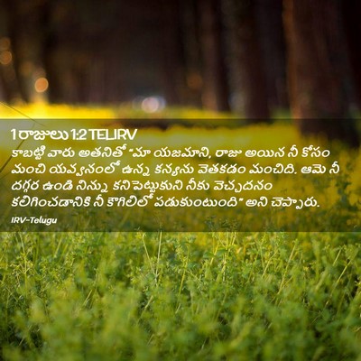 Picture 02 - 1 రాజులు 1:2 TELIRV - కాబట్టి వారు - Bible Verse Picture