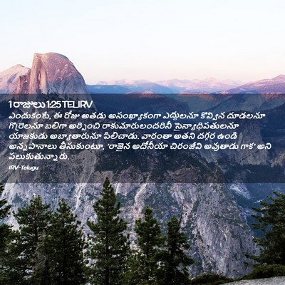 Picture 02 - 1 రాజులు 1:25 TELIRV - ఎందుకంటే, ఈ రోజు - Bible Verse Picture