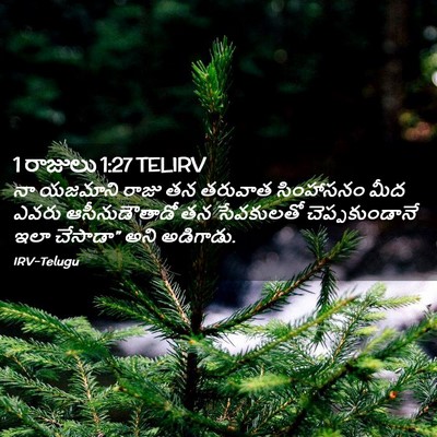 Picture 02 - 1 రాజులు 1:27 TELIRV - నా యజమాని రాజు తన - Bible Verse Picture
