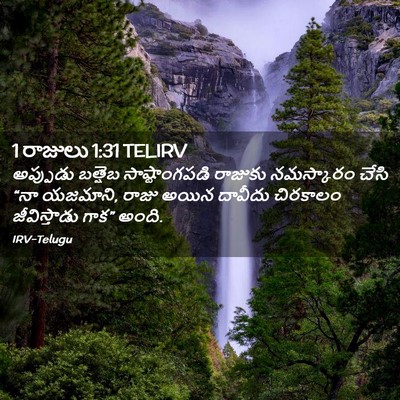 Picture 02 - 1 రాజులు 1:31 TELIRV - అప్పుడు బత్షెబ - Bible Verse Picture