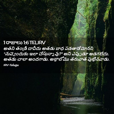 Picture 02 - 1 రాజులు 1:6 TELIRV - అతని తండ్రి - Bible Verse Picture