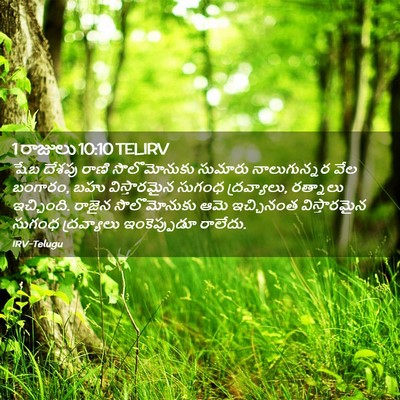 Picture 02 - 1 రాజులు 10:10 TELIRV - షేబ దేశపు రాణి - Bible Verse Picture