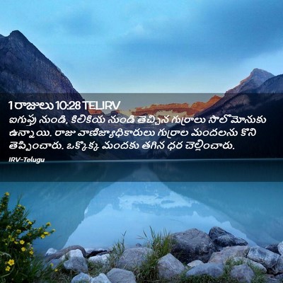 Picture 02 - 1 రాజులు 10:28 TELIRV - ఐగుప్తు నుండి, - Bible Verse Picture