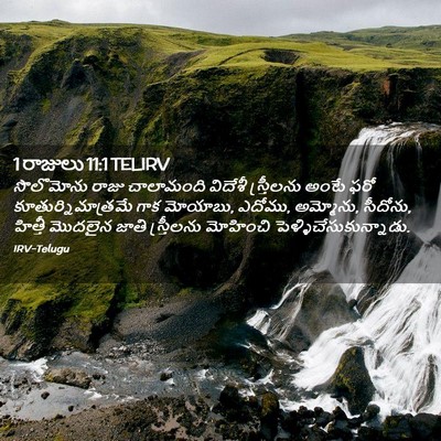Picture 02 - 1 రాజులు 11:1 TELIRV - సొలొమోను రాజు - Bible Verse Picture