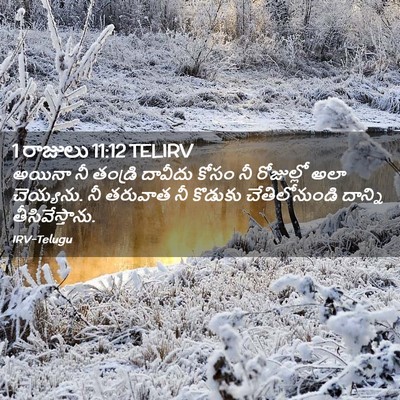 Picture 02 - 1 రాజులు 11:12 TELIRV - అయినా నీ తండ్రి - Bible Verse Picture