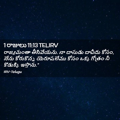 Picture 02 - 1 రాజులు 11:13 TELIRV - రాజ్యమంతా - Bible Verse Picture