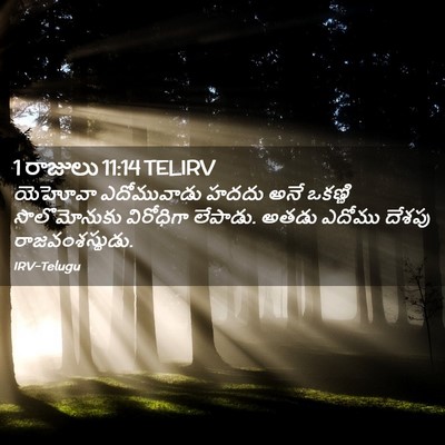 Picture 02 - 1 రాజులు 11:14 TELIRV - యెహోవా ఎదోమువాడు - Bible Verse Picture