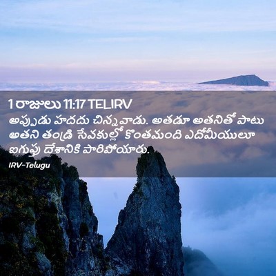 Picture 02 - 1 రాజులు 11:17 TELIRV - అప్పుడు హదదు - Bible Verse Picture