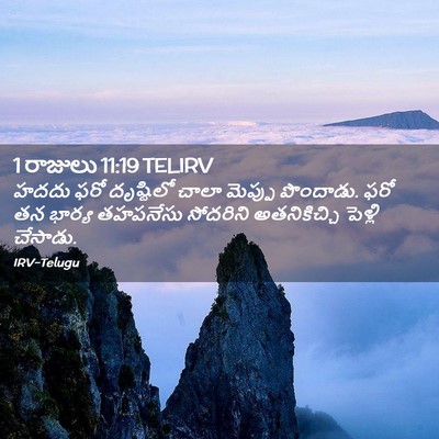Picture 02 - 1 రాజులు 11:19 TELIRV - హదదు ఫరో దృష్టిలో - Bible Verse Picture