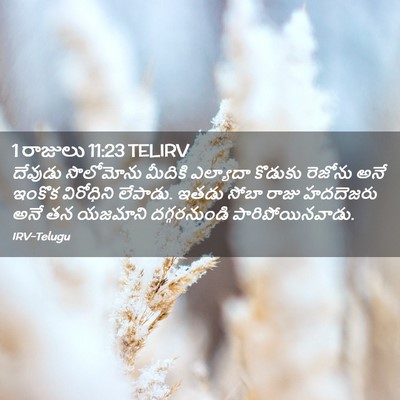 Picture 02 - 1 రాజులు 11:23 TELIRV - దేవుడు సొలోమోను - Bible Verse Picture