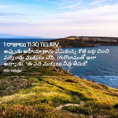 Picture 02 - 1 రాజులు 11:30 TELIRV - అప్పుడు అహీయా - Bible Verse Picture