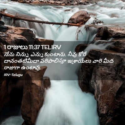 Picture 02 - 1 రాజులు 11:37 TELIRV - నేను నిన్ను - Bible Verse Picture