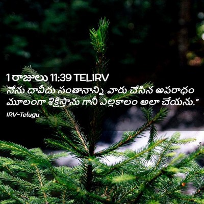 Picture 02 - 1 రాజులు 11:39 TELIRV - నేను దావీదు - Bible Verse Picture