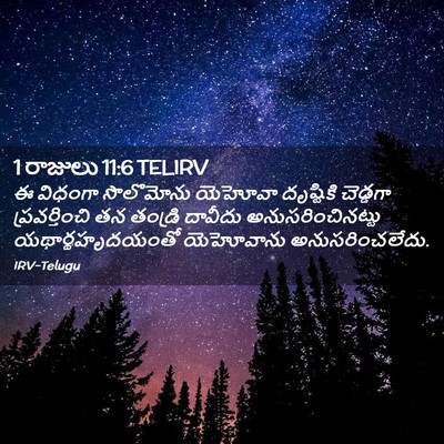 Picture 02 - 1 రాజులు 11:6 TELIRV - ఈ విధంగా సొలొమోను - Bible Verse Picture