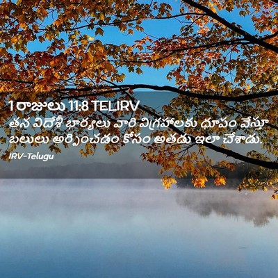 Picture 02 - 1 రాజులు 11:8 TELIRV - తన విదేశీ భార్యలు - Bible Verse Picture