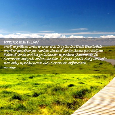 Picture 02 - 1 రాజులు 12:16 TELIRV - కాబట్టి ఇశ్రాయేలు - Bible Verse Picture