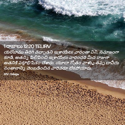 Picture 02 - 1 రాజులు 12:20 TELIRV - యరొబాము తిరిగి - Bible Verse Picture