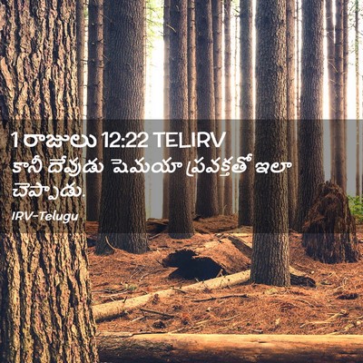 Picture 02 - 1 రాజులు 12:22 TELIRV - కానీ దేవుడు షెమయా - Bible Verse Picture