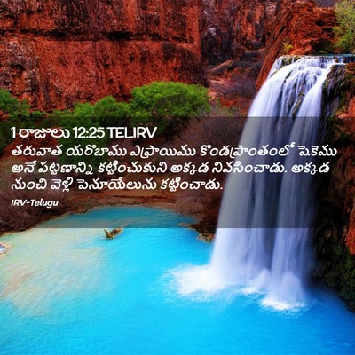 Picture 02 - 1 రాజులు 12:25 TELIRV - తరువాత యరొబాము - Bible Verse Picture