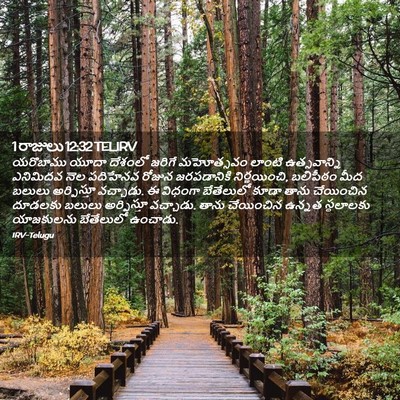 Picture 02 - 1 రాజులు 12:32 TELIRV - యరొబాము యూదా - Bible Verse Picture