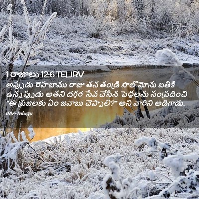 Picture 02 - 1 రాజులు 12:6 TELIRV - అప్పుడు రెహబాము - Bible Verse Picture