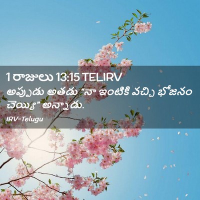 Picture 02 - 1 రాజులు 13:15 TELIRV - అప్పుడు అతడు “నా - Bible Verse Picture