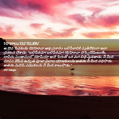 Picture 02 - 1 రాజులు 13:2 TELIRV - ఆ దైవ సేవకుడు - Bible Verse Picture
