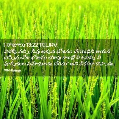 Picture 02 - 1 రాజులు 13:22 TELIRV - వెనక్కి వచ్చి, - Bible Verse Picture