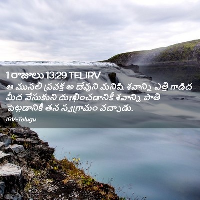 Picture 02 - 1 రాజులు 13:29 TELIRV - ఆ ముసలి ప్రవక్త అ - Bible Verse Picture