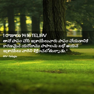 Picture 02 - 1 రాజులు 14:16 TELIRV - తానే పాపం చేసి - Bible Verse Picture