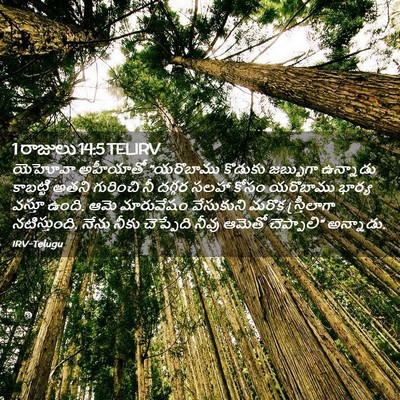 Picture 02 - 1 రాజులు 14:5 TELIRV - యెహోవా అహీయాతో - Bible Verse Picture