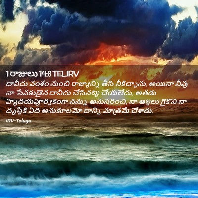 Picture 02 - 1 రాజులు 14:8 TELIRV - దావీదు వంశం నుంచి - Bible Verse Picture