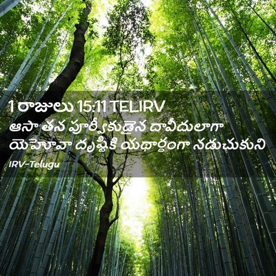 Picture 02 - 1 రాజులు 15:11 TELIRV - ఆసా తన - Bible Verse Picture