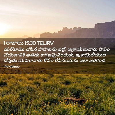Picture 02 - 1 రాజులు 15:30 TELIRV - యరొబాము చేసిన - Bible Verse Picture