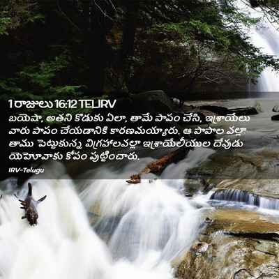 Picture 02 - 1 రాజులు 16:12 TELIRV - బయెషా, అతని కొడుకు - Bible Verse Picture
