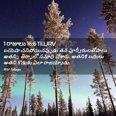 Picture 02 - 1 రాజులు 16:6 TELIRV - బయెషా - Bible Verse Picture