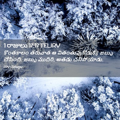 Picture 02 - 1 రాజులు 17:17 TELIRV - కొంతకాలం తరువాత ఆ - Bible Verse Picture