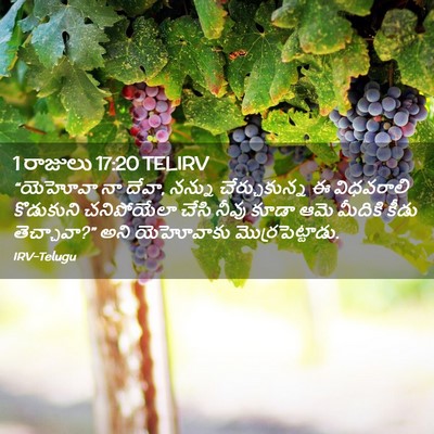 Picture 02 - 1 రాజులు 17:20 TELIRV - “యెహోవా నా దేవా, - Bible Verse Picture