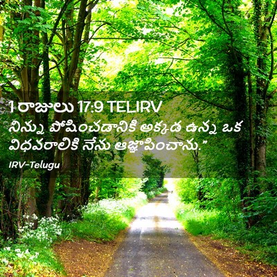 Picture 02 - 1 రాజులు 17:9 TELIRV - నిన్ను - Bible Verse Picture