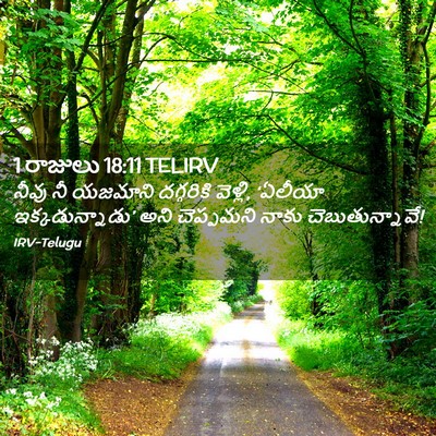 Picture 02 - 1 రాజులు 18:11 TELIRV - నీవు నీ యజమాని - Bible Verse Picture