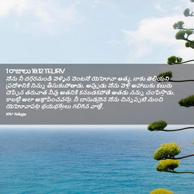 Picture 02 - 1 రాజులు 18:12 TELIRV - నేను నీ - Bible Verse Picture