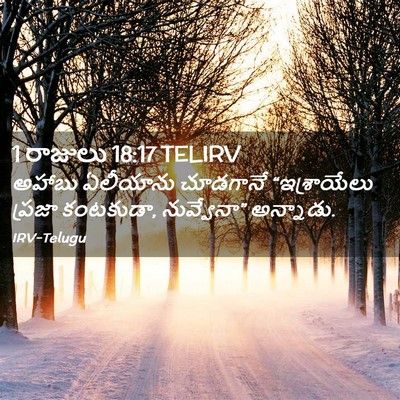 Picture 02 - 1 రాజులు 18:17 TELIRV - అహాబు ఏలీయాను - Bible Verse Picture