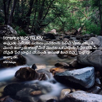 Picture 02 - 1 రాజులు 18:25 TELIRV - అప్పుడు ఏలీయా, - Bible Verse Picture