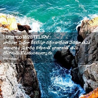 Picture 02 - 1 రాజులు 18:28 TELIRV - వారింకా పెద్దగా - Bible Verse Picture