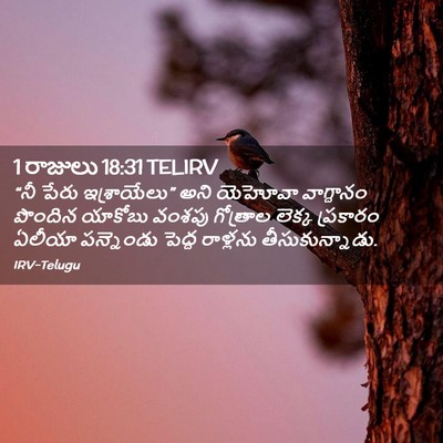 Picture 02 - 1 రాజులు 18:31 TELIRV - “నీ పేరు - Bible Verse Picture