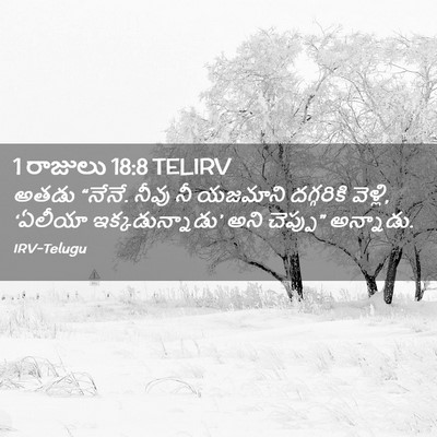 Picture 02 - 1 రాజులు 18:8 TELIRV - అతడు “నేనే. నీవు నీ - Bible Verse Picture