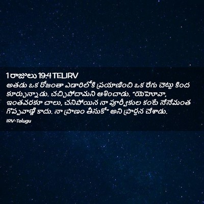 Picture 02 - 1 రాజులు 19:4 TELIRV - అతడు ఒక రోజంతా - Bible Verse Picture